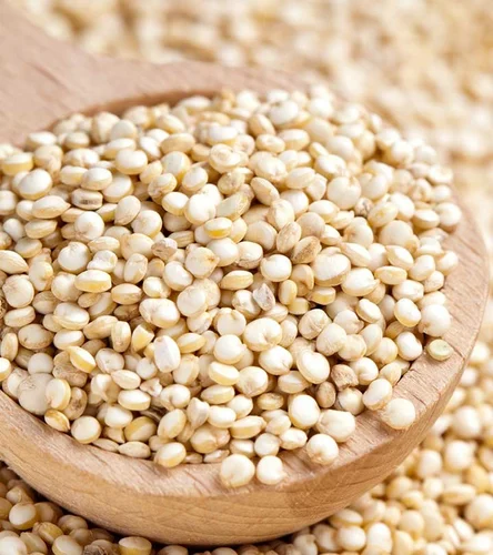 Quinoa