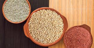 Jowar/Bajra/Ragi/