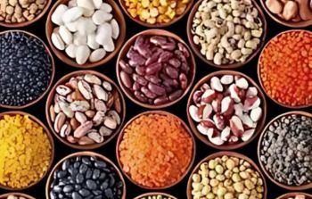Pulses