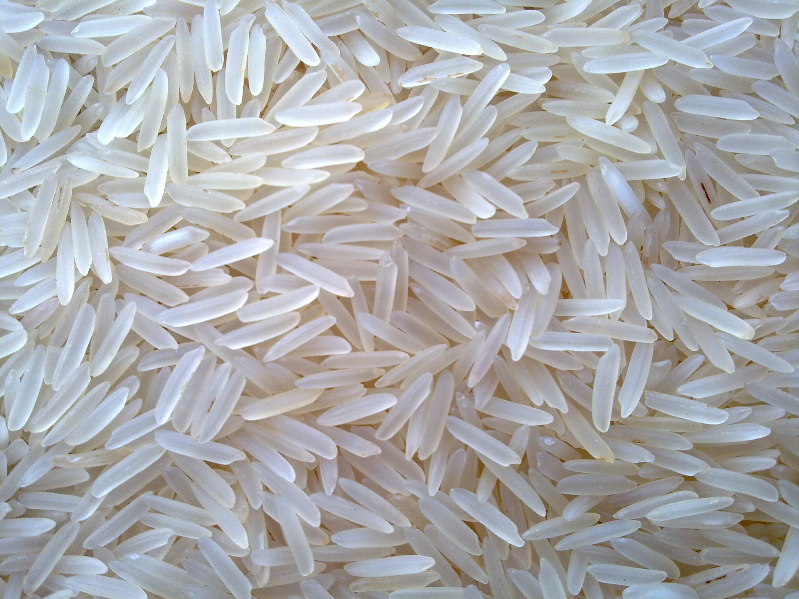 Pusa Raw / White Basmati Rice